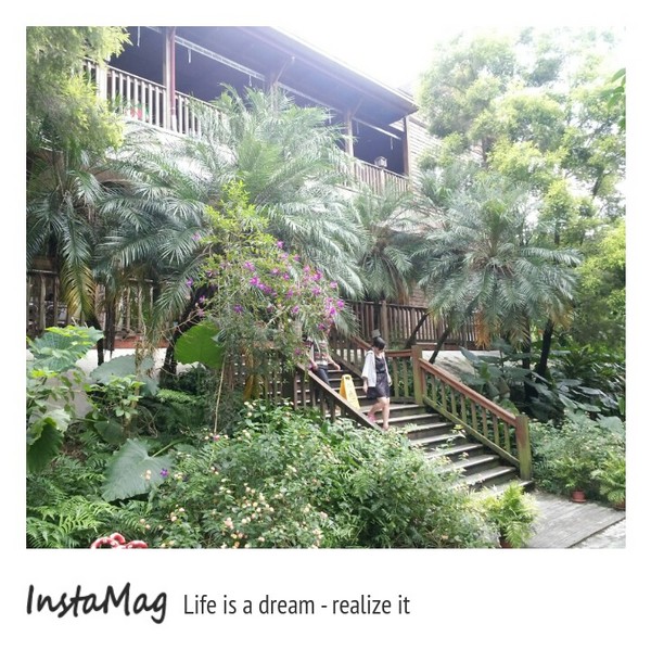 綠盈牧場:賽鵝小遊戲衝衝衝&紅椅子的巨大鳥籠~綠盈牧場