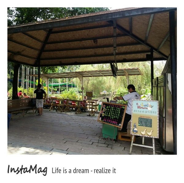 綠盈牧場:賽鵝小遊戲衝衝衝&紅椅子的巨大鳥籠~綠盈牧場