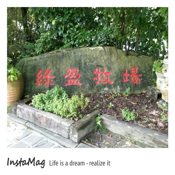 綠盈牧場:賽鵝小遊戲衝衝衝&紅椅子的巨大鳥籠~綠盈牧場