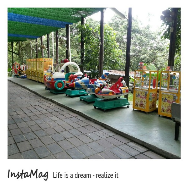 綠盈牧場:賽鵝小遊戲衝衝衝&紅椅子的巨大鳥籠~綠盈牧場