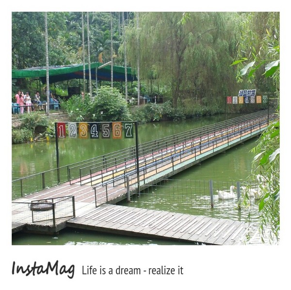 綠盈牧場:賽鵝小遊戲衝衝衝&紅椅子的巨大鳥籠~綠盈牧場