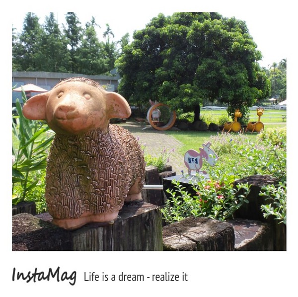 綠盈牧場:賽鵝小遊戲衝衝衝&紅椅子的巨大鳥籠~綠盈牧場