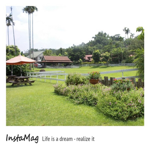 綠盈牧場:賽鵝小遊戲衝衝衝&紅椅子的巨大鳥籠~綠盈牧場