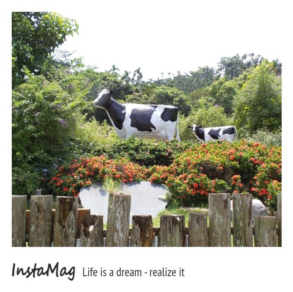 綠盈牧場:賽鵝小遊戲衝衝衝&紅椅子的巨大鳥籠~綠盈牧場