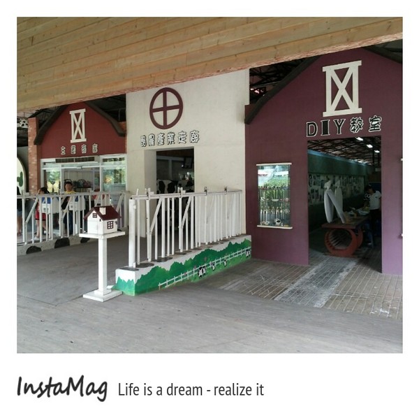 綠盈牧場:賽鵝小遊戲衝衝衝&紅椅子的巨大鳥籠~綠盈牧場