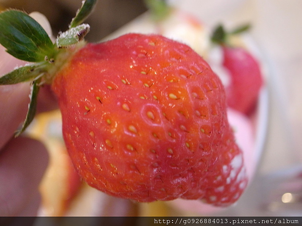 R0020442_副本_副本