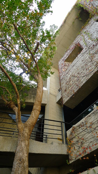 cm20140625___673167e0e0f73273d9319252178