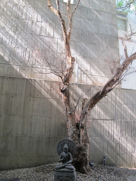 cm20140625___5269462f3c22b7120601e9b18c7