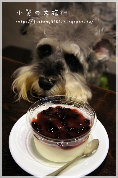 Rainbow PaPa：[桃園。中壢] 不管在怎麼遙遠都要一睹小小兵&翹鼻子小熊拉花の風采❤