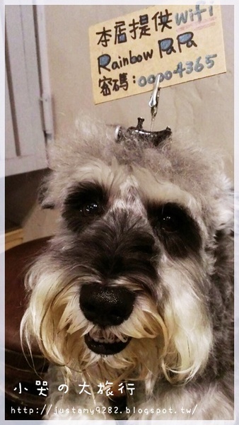Rainbow PaPa：[桃園。中壢] 不管在怎麼遙遠都要一睹小小兵&翹鼻子小熊拉花の風采❤