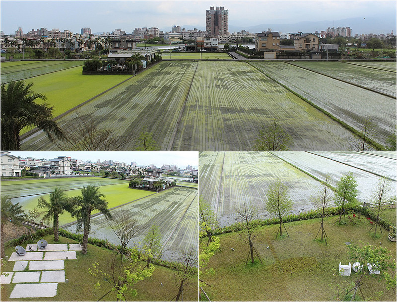 21-1調色盤築夢會館