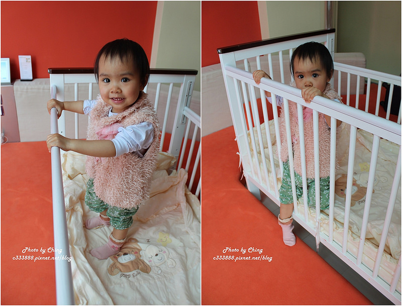 18調色盤築夢會館