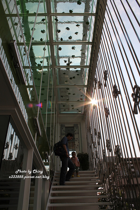 56調色盤築夢會館