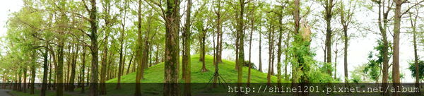 宜蘭羅東景點 羅東運動公園散步輕旅 