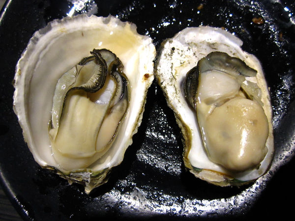 好客音樂燒烤(市府店)：【台北市】澎湖季生蠔海鮮&燒肉吃到飽-好客音樂燒烤市府店