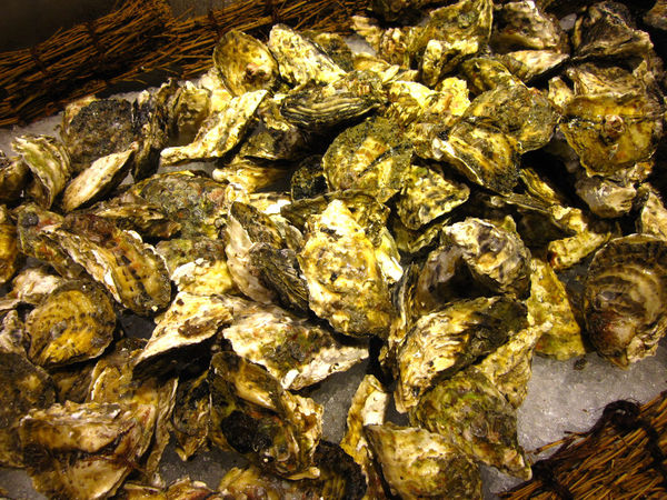 好客音樂燒烤(市府店)：【台北市】澎湖季生蠔海鮮&燒肉吃到飽-好客音樂燒烤市府店