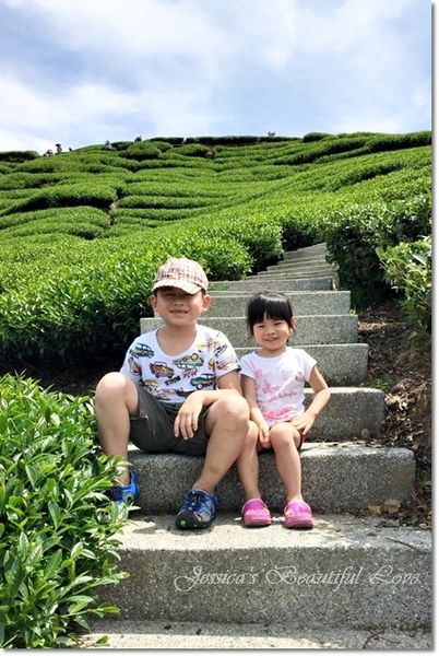 10403087_996307867053669_1022536217376493769_n