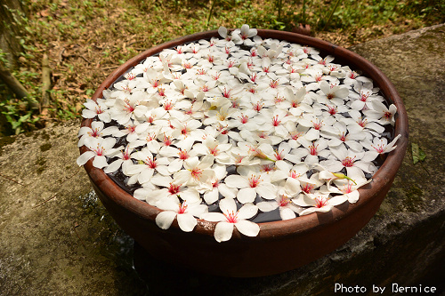 0423 1-挑水古道19