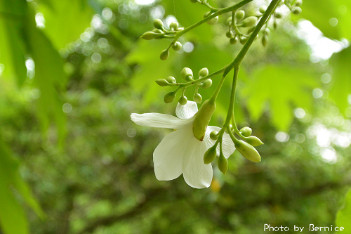 0423 1-挑水古道18