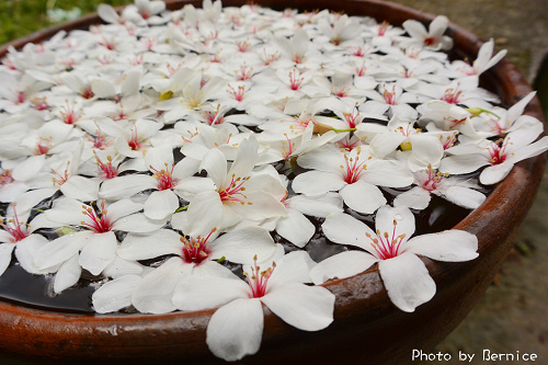 0423 1-挑水古道11