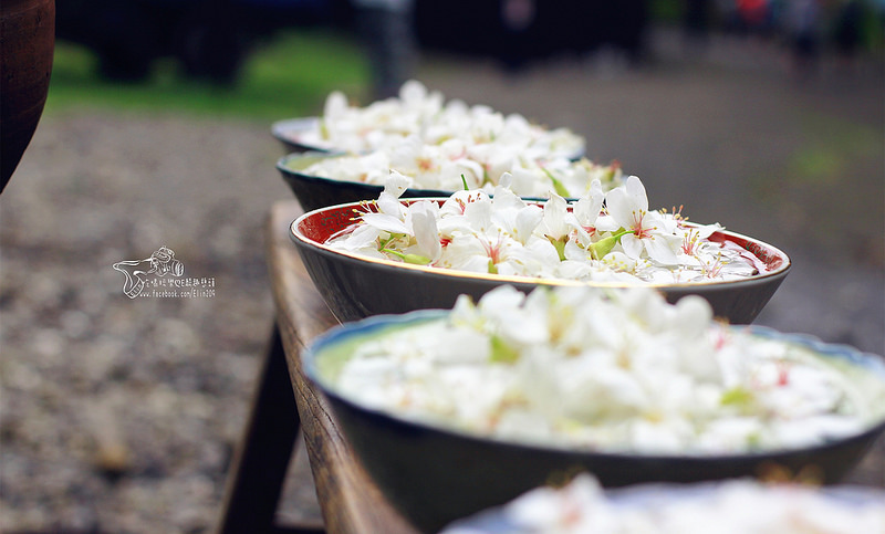 彰化挑水古道 (11)