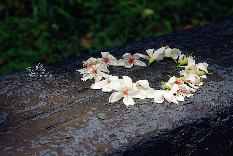 彰化挑水古道 (13)