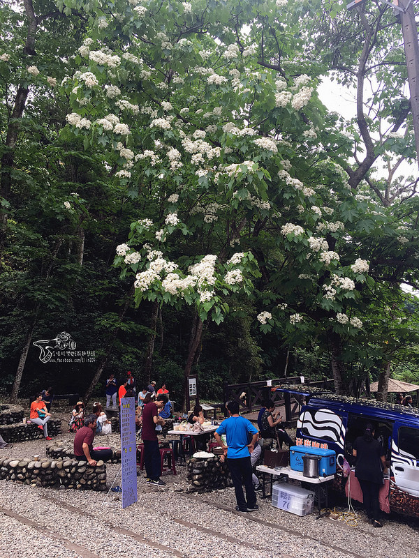 彰化挑水古道 (5)