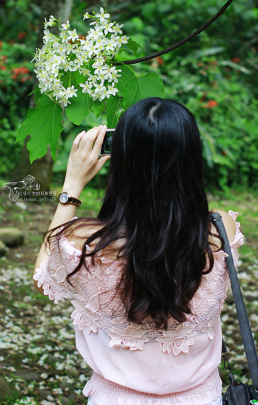 彰化挑水古道 (21)