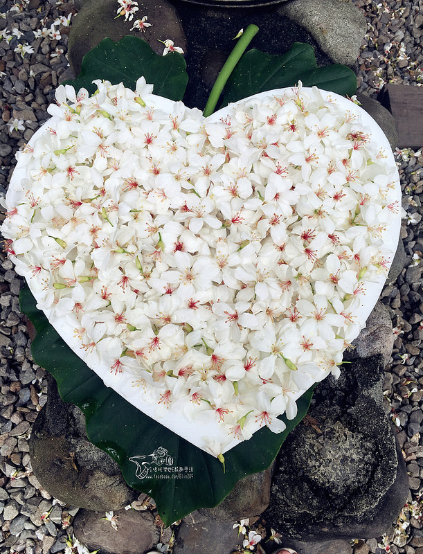 彰化挑水古道 (10)