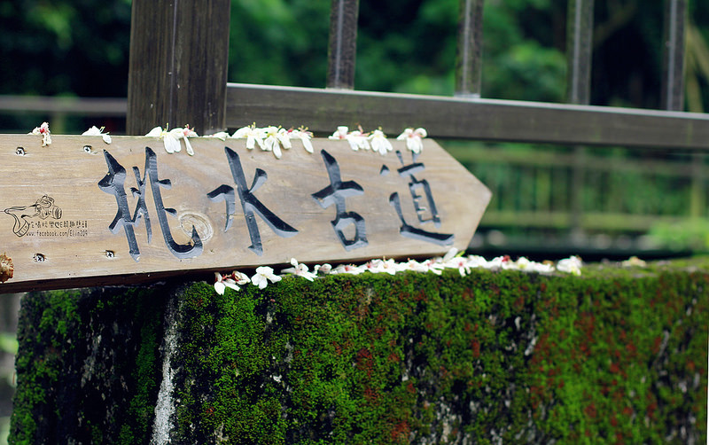 彰化挑水古道 (1)