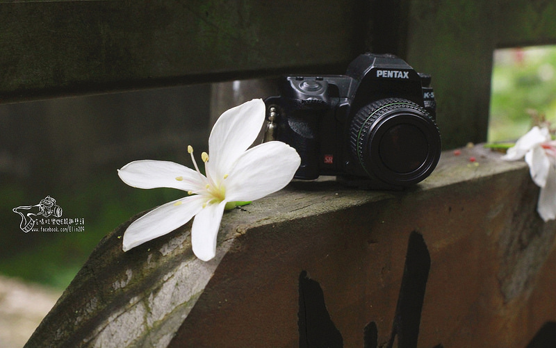 彰化挑水古道 (30)