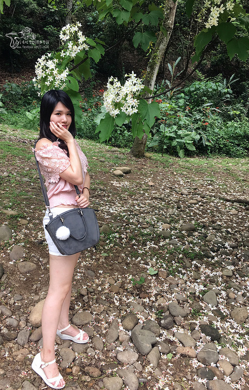 彰化挑水古道 (25)