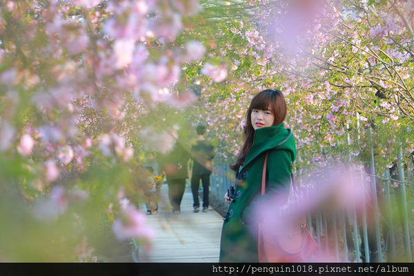 12782412_1250713254942118_862295165_n