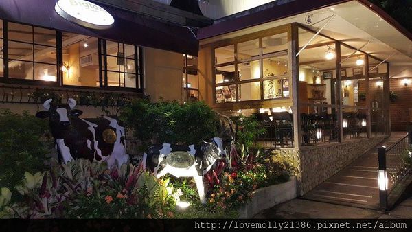 11225894_10200859353483213_1170083783_n