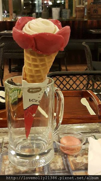 11281775_10200859347403061_254292634_n