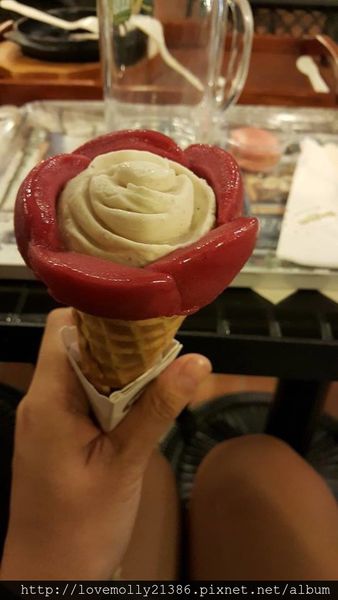 11337140_10200859347163055_1736328241_n