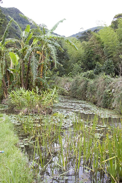 食養山房(汐止)-2