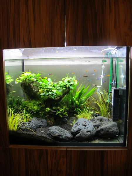 沐樂咖啡:(食記)台北市華山附近臨沂街上沐樂咖啡。咖啡好喝鹹食甜食表現亮眼。