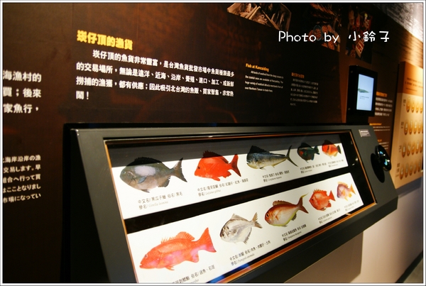 海科館區域探索館：基隆新亮點「國立海洋科技博物館」試營運中