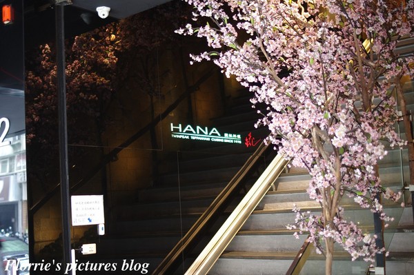 HANA 錵鐵板燒：台北中山區美食~Hana錵鐵板燒~食材100分，服務也許是我不懂的境界吧