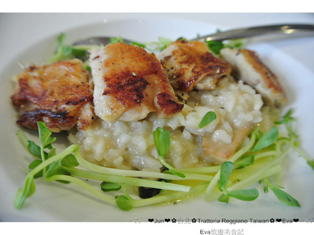 Trattoria Reggiano:【食記】oO。。台北 東區 Trattoria Reggiano Taiwan食品餐廳 大花園 威尼斯花園 小磨菇 小蜜蜂 小飄蟲 提拉米蘇盆栽 超可愛的盆栽花園蛋糕組合,跟著蜜蜂飛舞吧~o○。