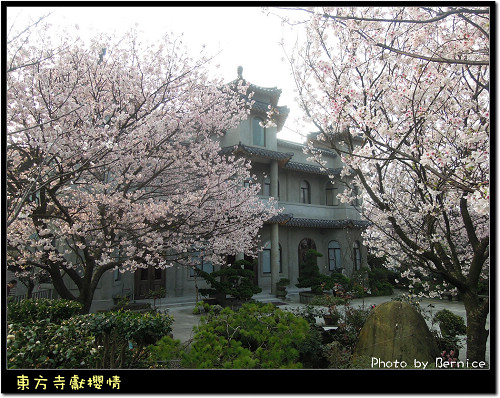 0317 1-東方寺04