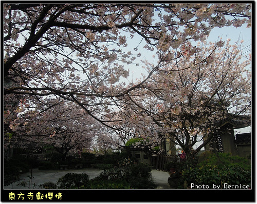 0317 1-東方寺06
