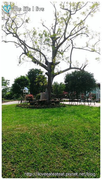 2014-04-12 13.32.06.jpg