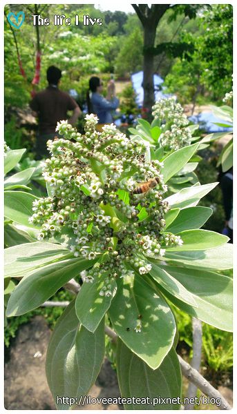 2014-04-12 13.09.18.jpg