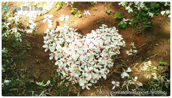 2014-04-12 12.43.36.jpg