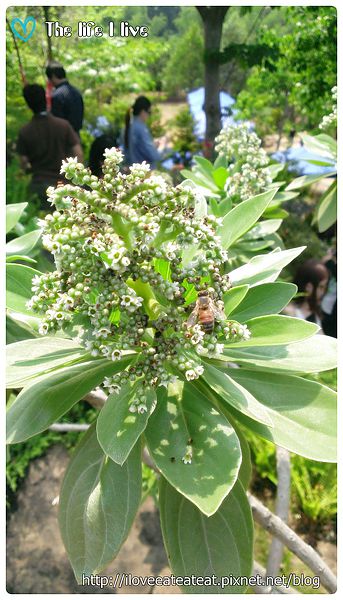 2014-04-12 13.09.09.jpg