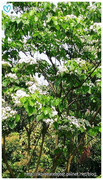 2014-04-12 12.52.33.jpg