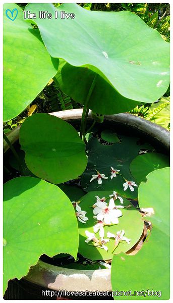 2014-04-12 12.39.22.jpg