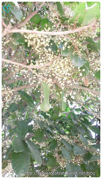 2014-04-12 12.29.32.jpg